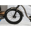 Hot Sale Powerful 1000W MID Drive Fat Tire E-Bike